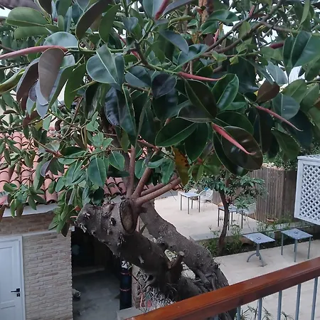 House Of Good Things Zeytin çıkmazı Hotel